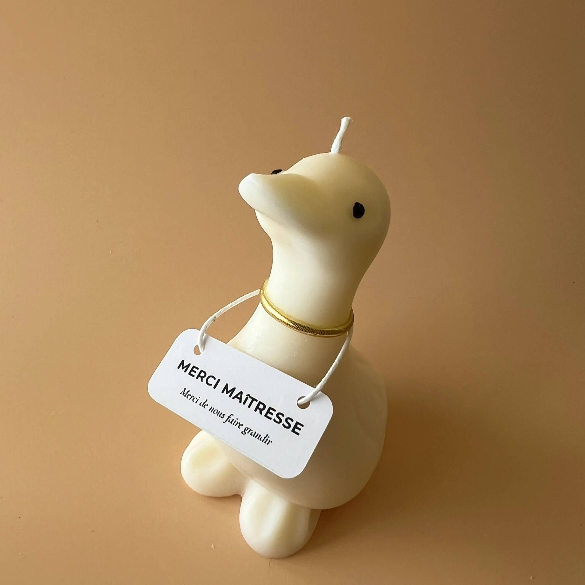 Oie décorative Merci maîtresse